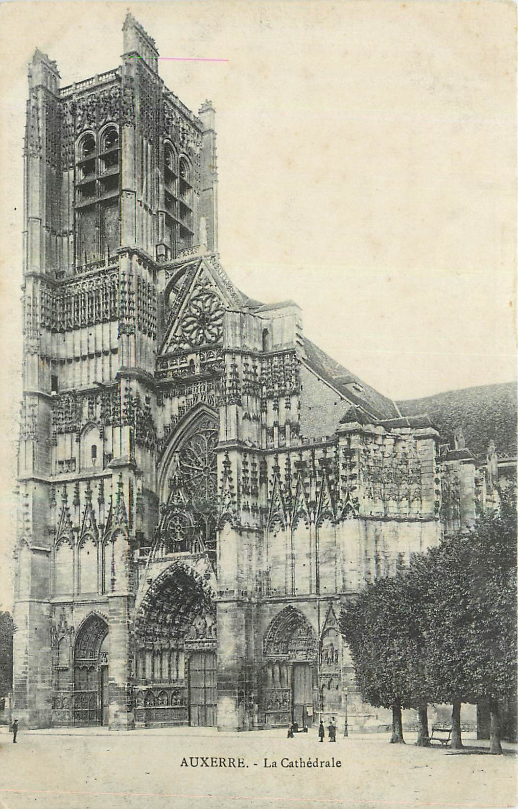 CPA Auxerre La Cathedrale 
