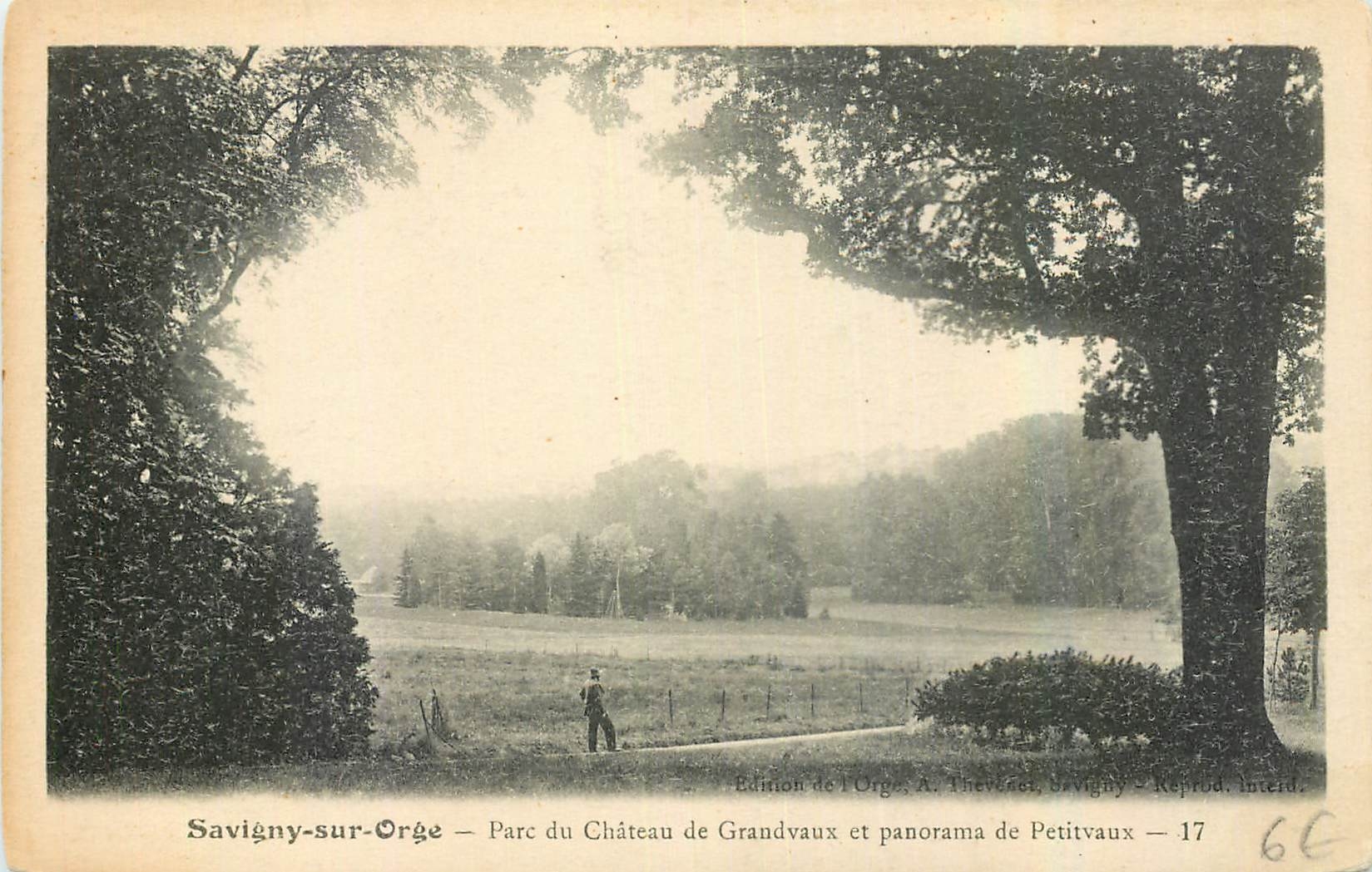 CPA Savigny sur Orge Parc du Chateau de Grandvaux et panorama de Petitvaux 