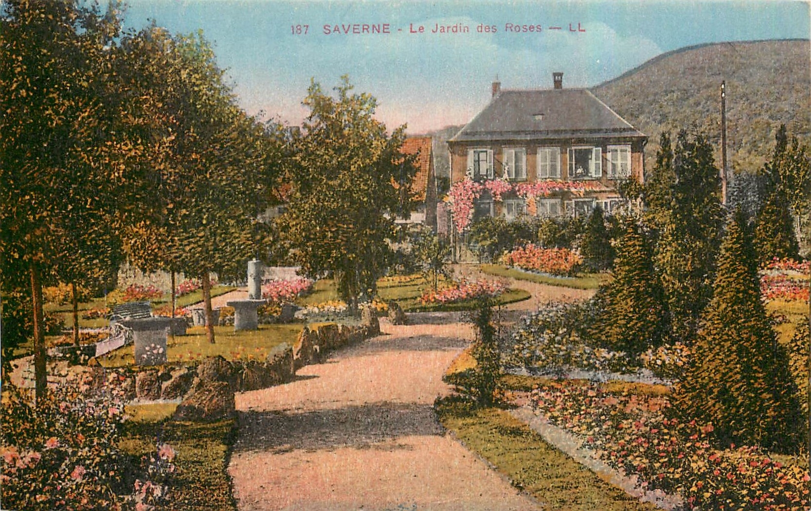 CPA Saverne le Jardin des Roses 