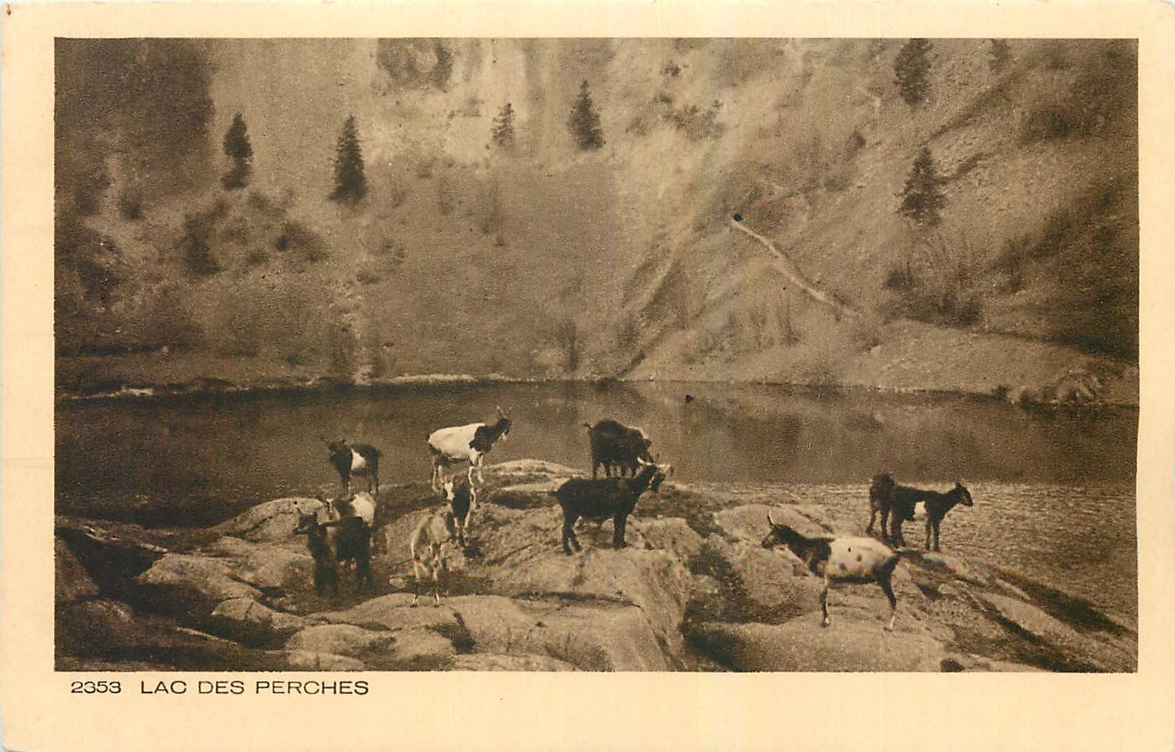 CPA Les Beaux sites de Frances Lac des Perches Chevres