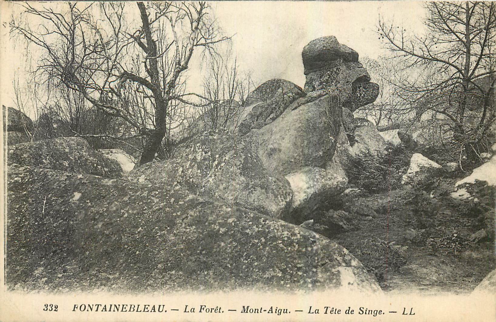 Fontainebleau — La Forêt — Mont-Aigu — La Tête de Singe — LL