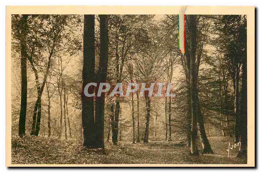 Fontainebleau (Seine-et-Marne) — Un joli coin de la forêt en automne — Les Éditions d'Art YVC, 15 Rue Martel, Paris
