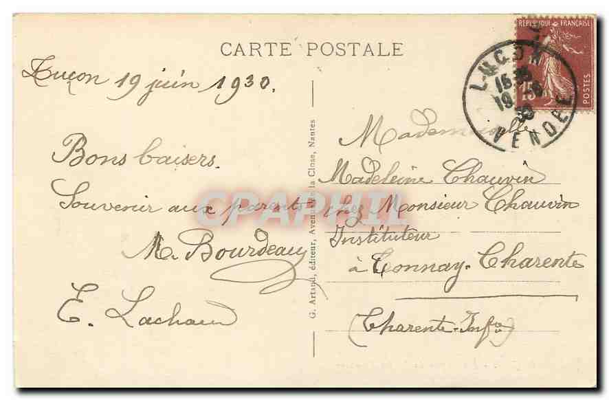 CPA Lucon Les Cygnes du Jardin Dumaine  — Rückseite