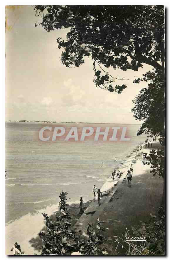CPA Saint Valery sur Somme l'Estuaire de la Somme 