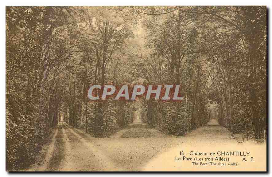 CPA Chateau de Chantilly Le Parc Les trois Allees 