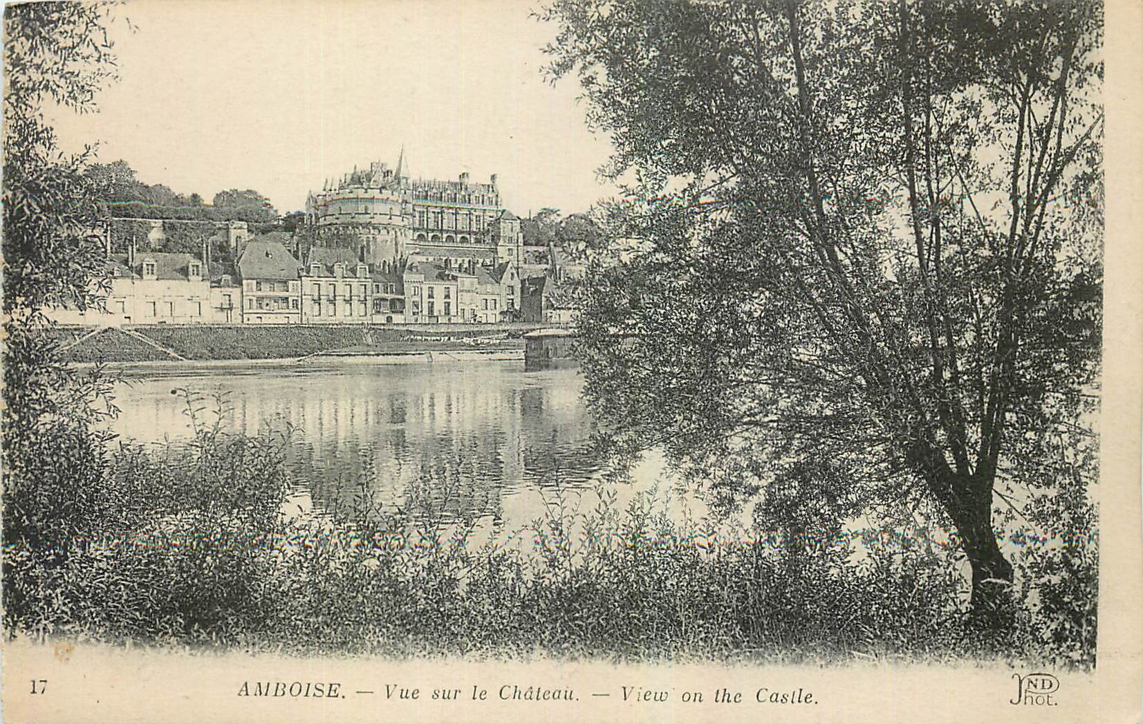 CPA Amboise Vue sur le Chateau 