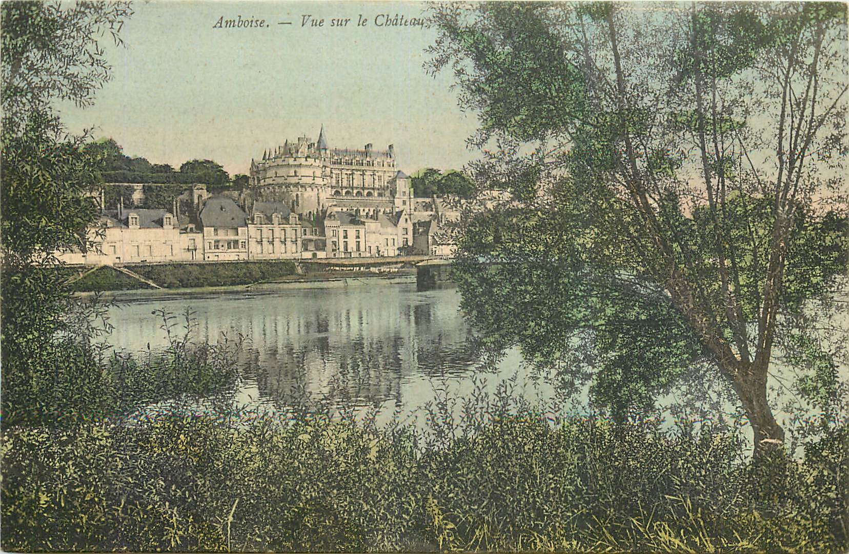 CPA Amboise Vue sur le Chateau 