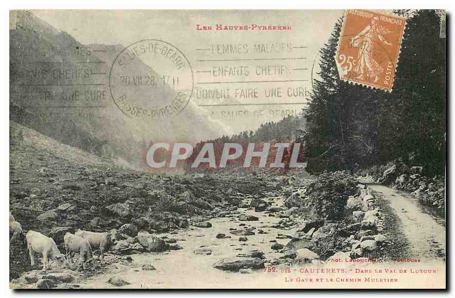 CPA Les hautes Pyrenees Cauterets Dans le Val de Lutour 