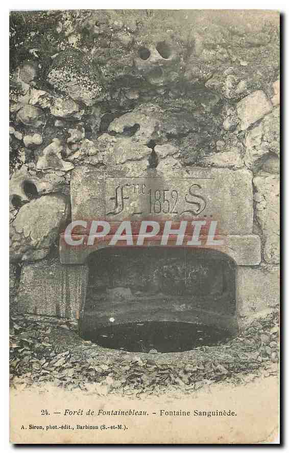 CPA Foret de Fontainebleau Fontaine Sanguinede 