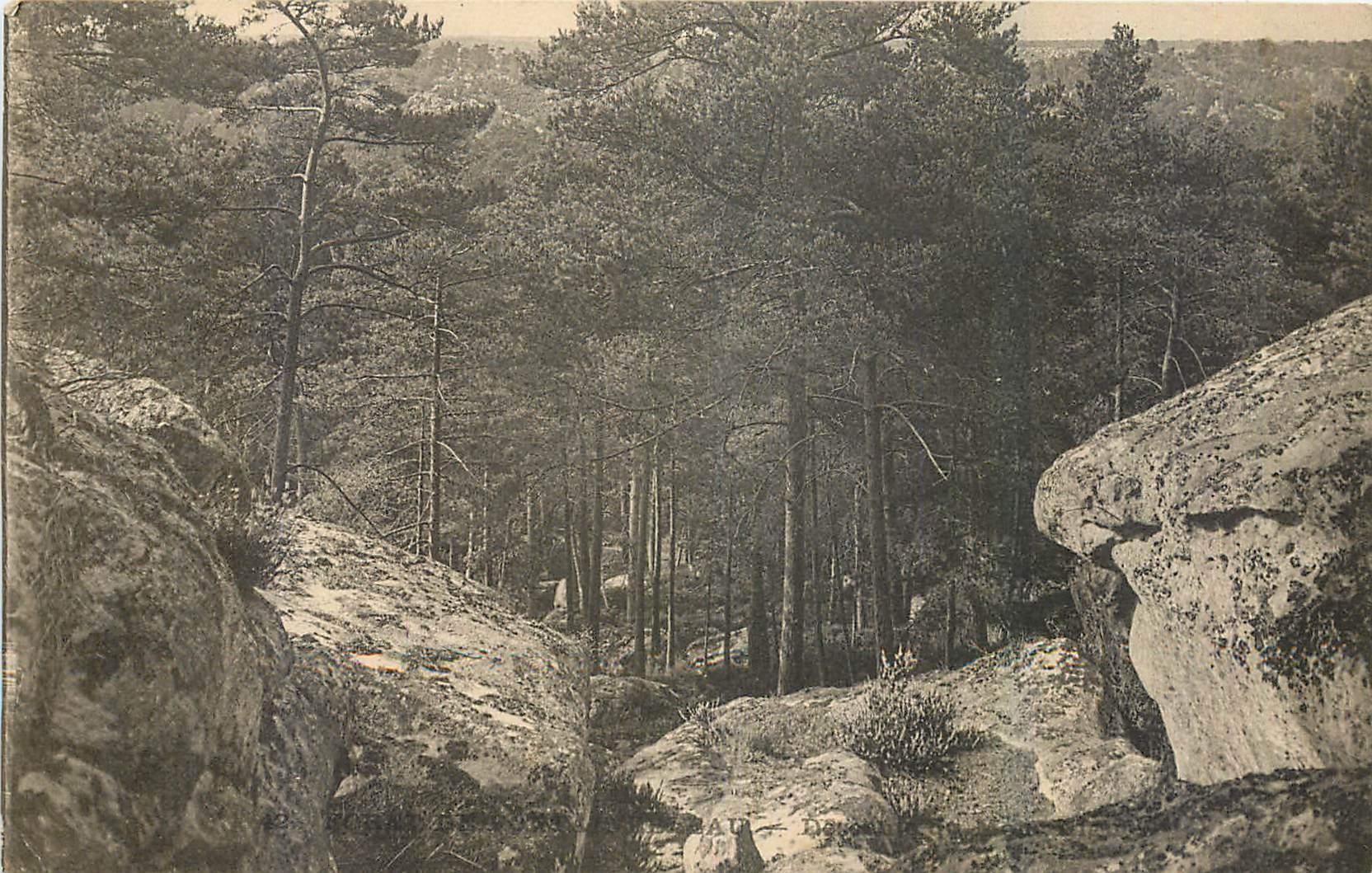 Kiefernwald und Felsen — Natürliche Ansicht — Ansichtskarte CPAPHIL
