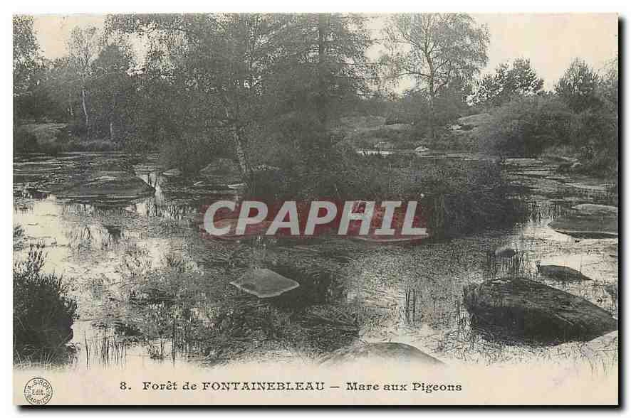Wälder von FONTAINEBLEAU — Mare aux Pigeons — Verlag: Lait, n°8
