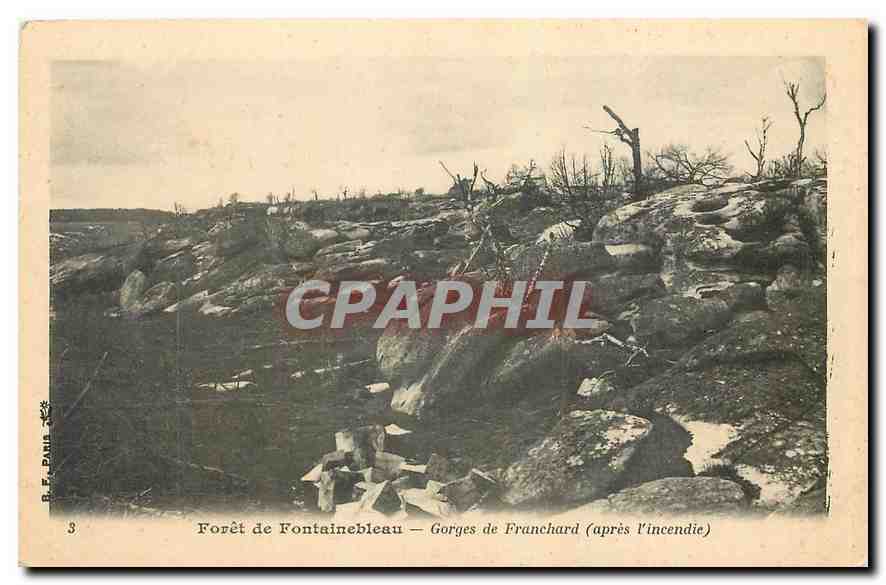 Wald von Fontainebleau — Gorges de Franchard (nach dem Brand) — B. F. Pahle, Nr. 3