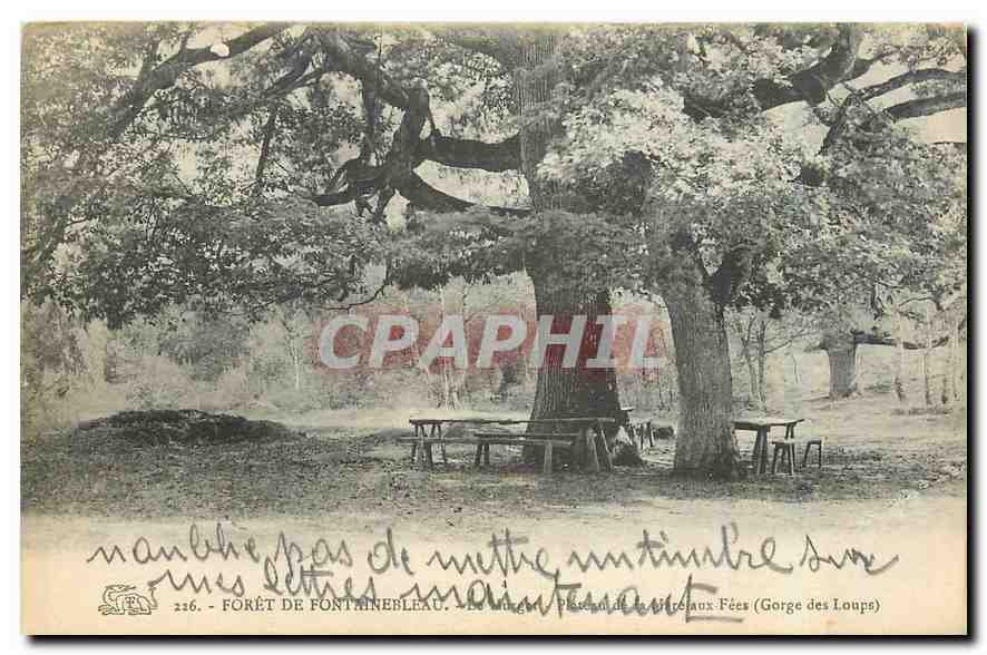 Wald von Fontainebleau — Le Gorge aux Fées (Gorge des Loups) — unbekannter Verlag, Nr. 226