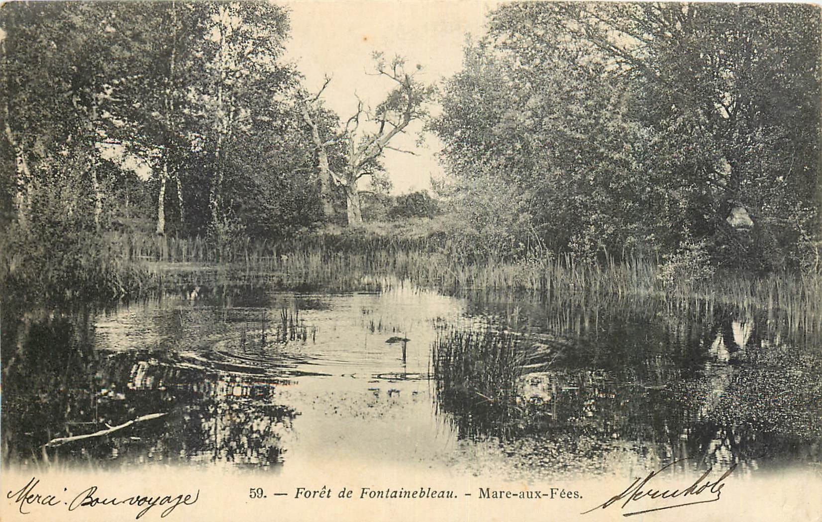 Forêt de Fontainebleau — Mare-aux-Fées — Verlag Mercier-Bouvoyage, n°59
