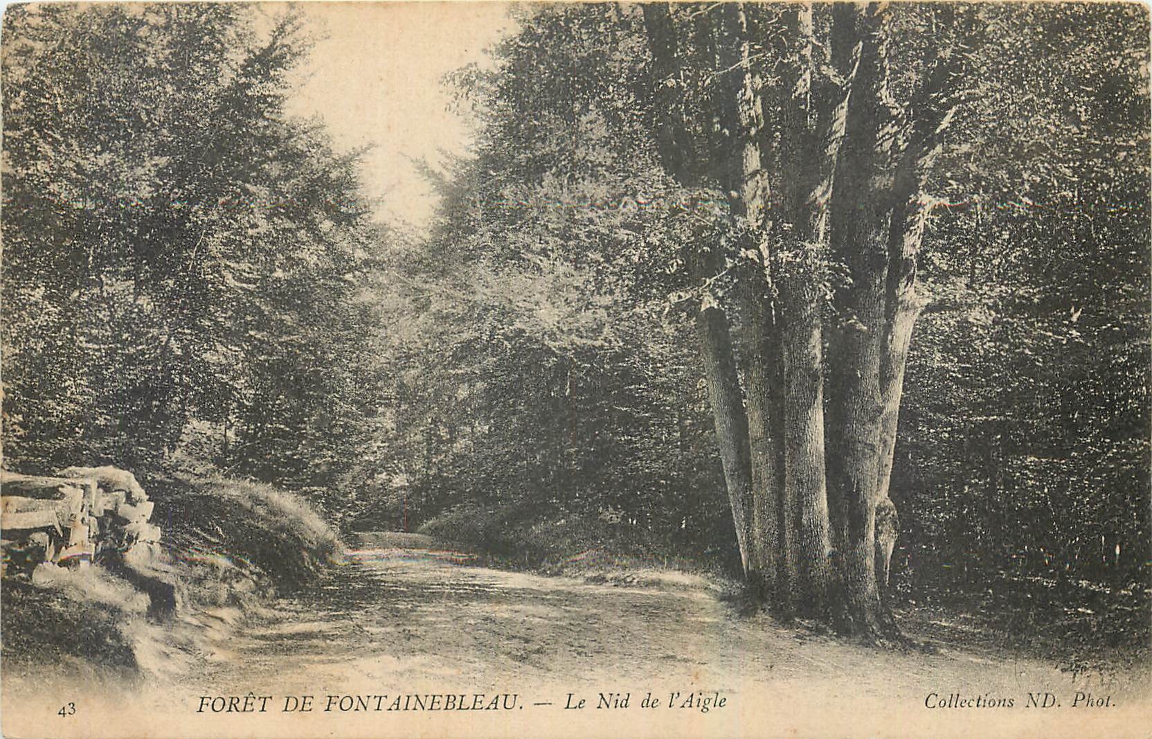 Wald von Fontainebleau — Der Adlerhort — Collections ND. Phot.
