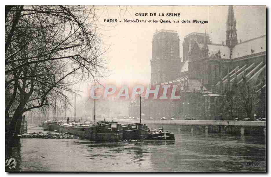 CPA Crue de la Seine Paris Notre Dame et les quais vus de la Morgue