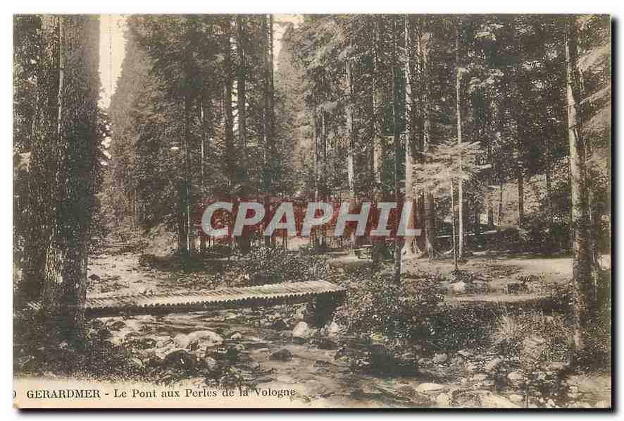 CPA Gerardmer Le Pont aux Perles de la Vologne 
