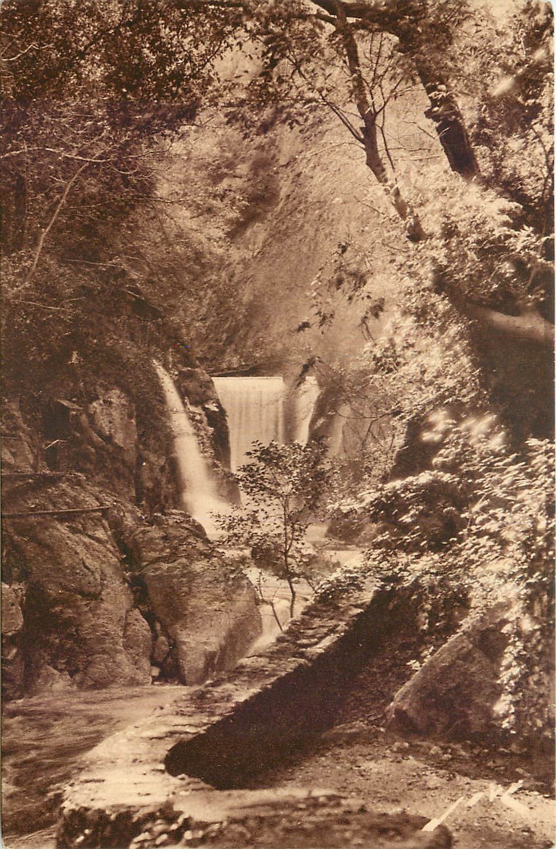 CPA Toute la France Amelie les Bains P O Gorges du Mondony Cascade d'Annibal 