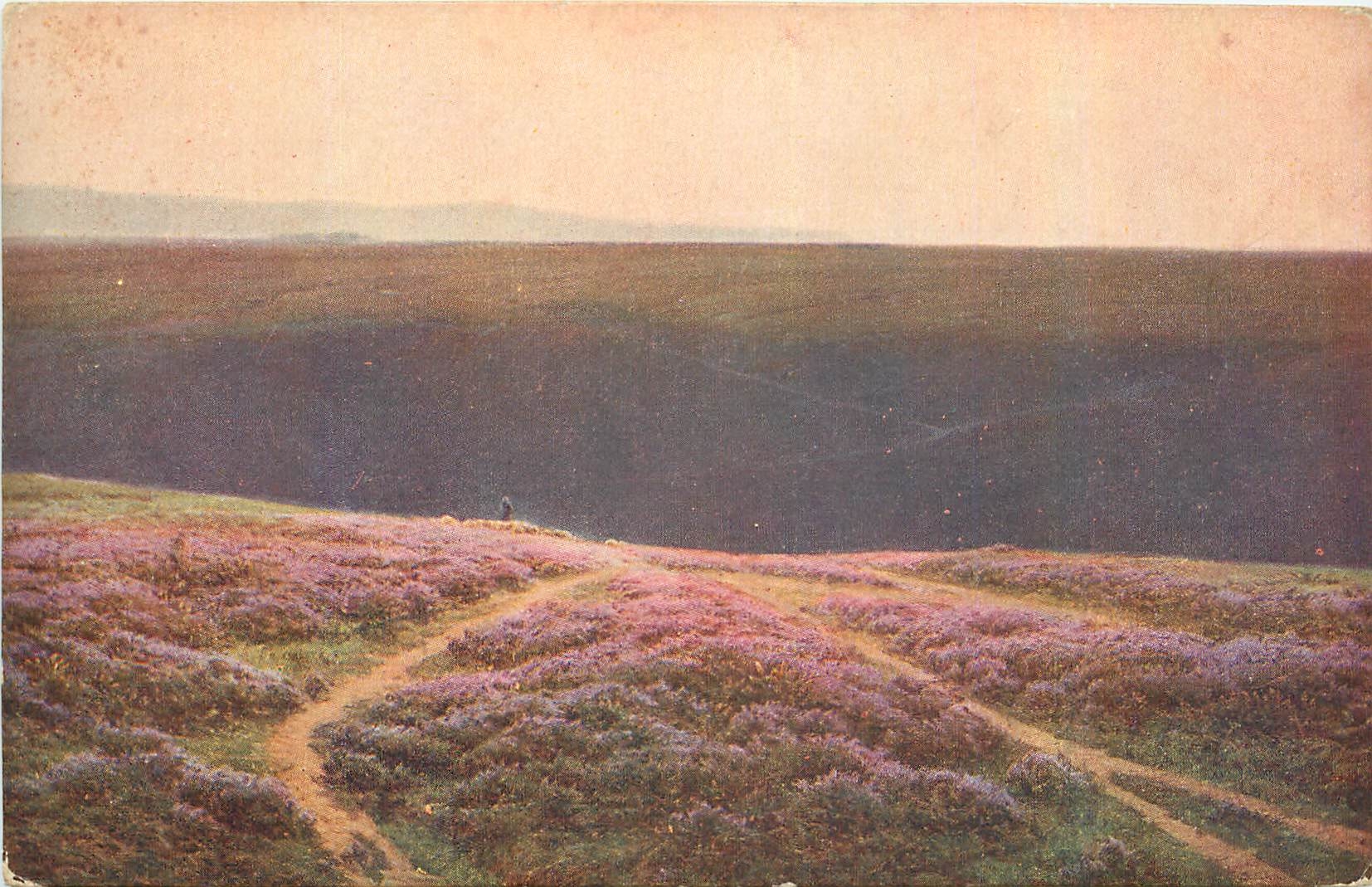 CPA William Didier Pouget Lande aux Bruyeres Plateau du Ger H P Moorland 