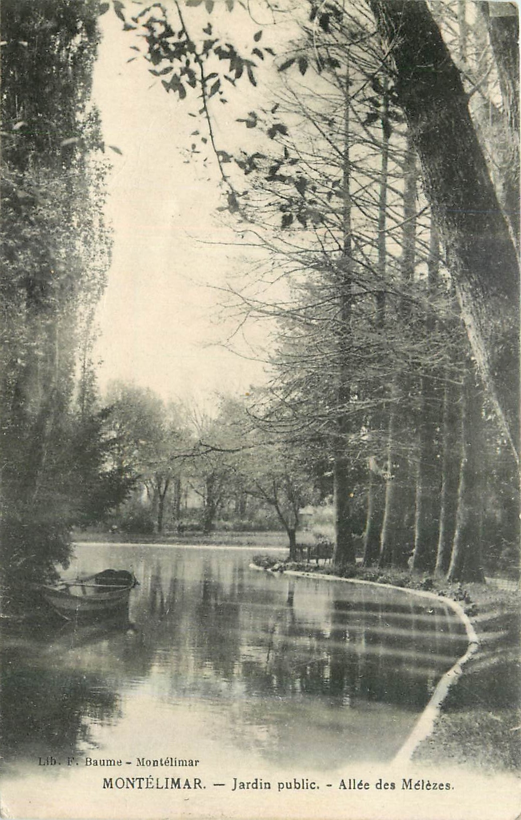 Montélimar — Öffentlicher Garten — Allee der Lärchen — Lib. F. Baume