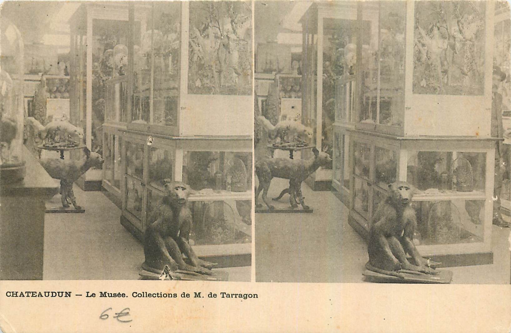 CPA Chateaudun Le Musee Collection de M de Tarragon Singe