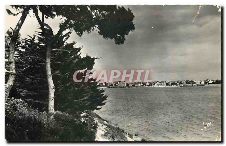 CPA Roscoff Finistere La Plage vue de Perhariay 