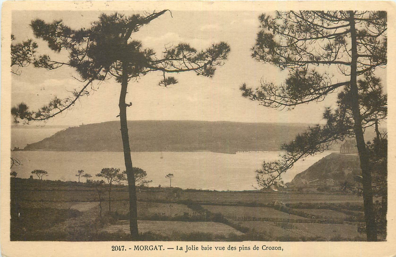CPA Morgat La Jolie baie vue des pins de Crozon 