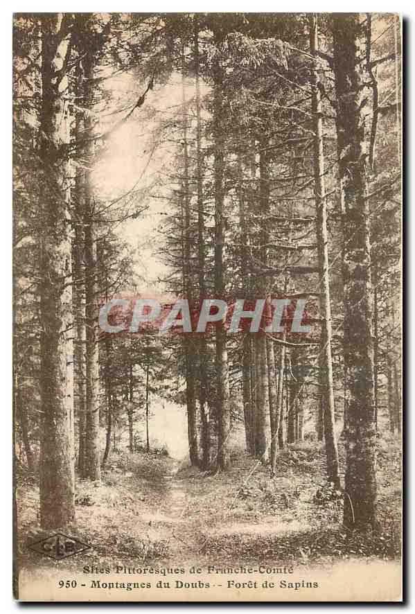 CPA Sites Pittoresque de Franche Comte Montagnes du Doubs Foret de Sapins 