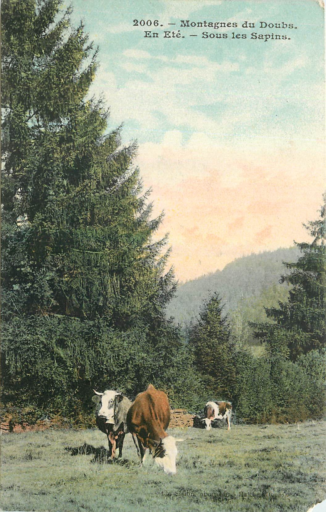 CPA Montagnes du Doubs En Ete Sous les Sapins Vaches