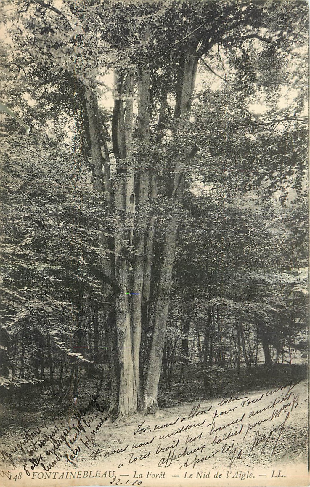 CPA Fontainebleau La Foret Le Nid de l'Aigle