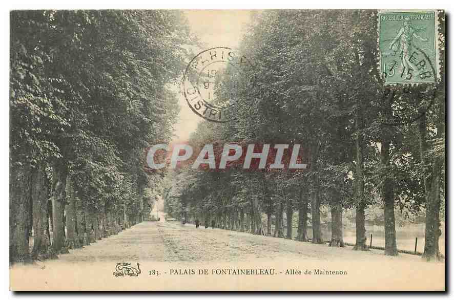 CPA Palais de Fontainebleau Allee de Maintenon 