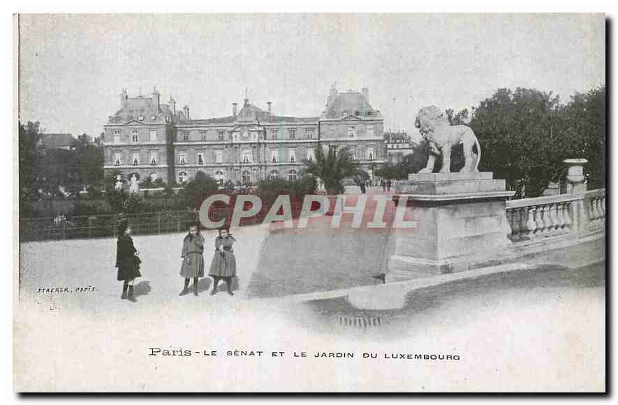 CPA Paris Le senat et le Jardin du Luxembourg Lion