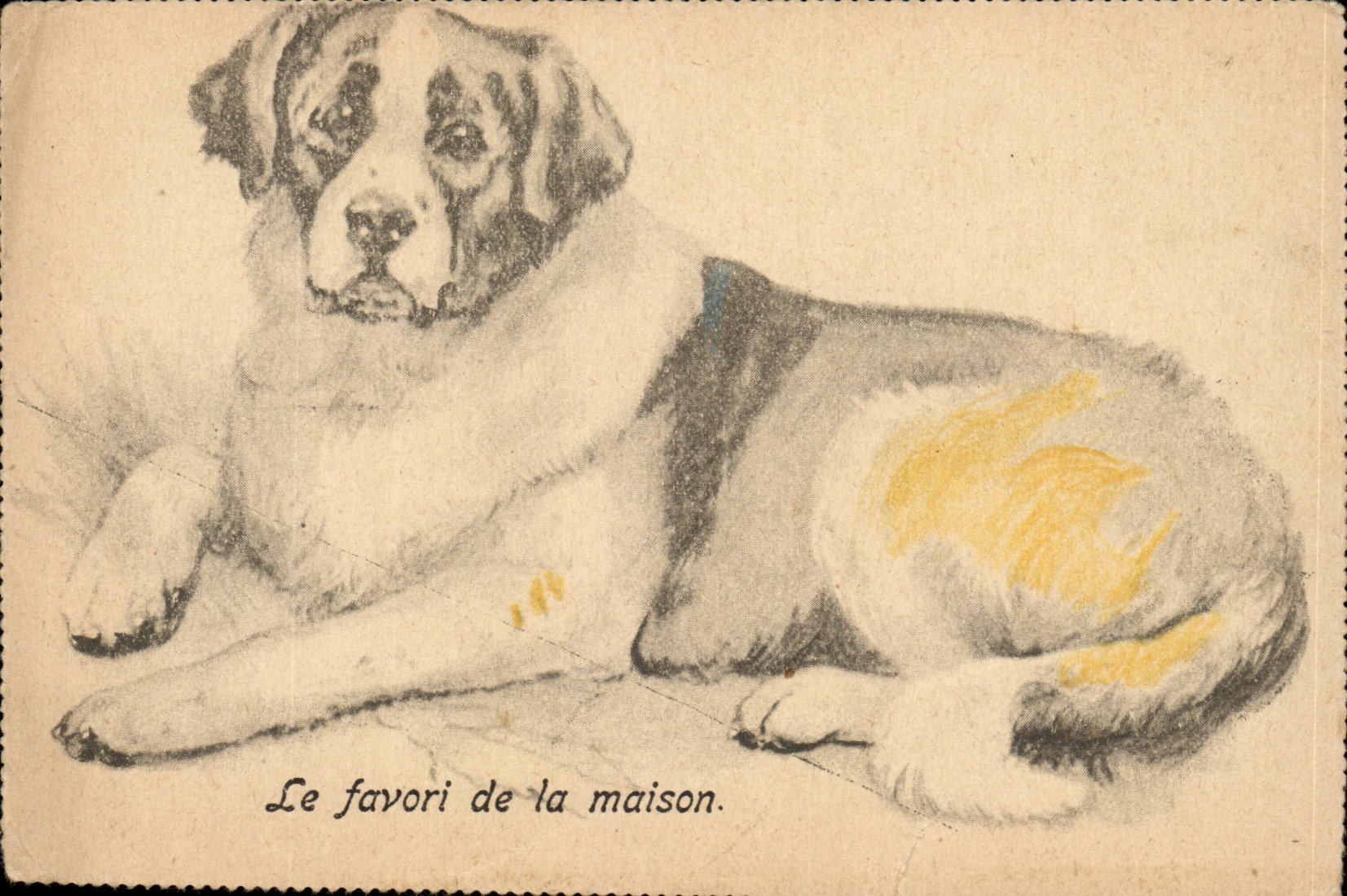 CPA Le favori de la maison chien