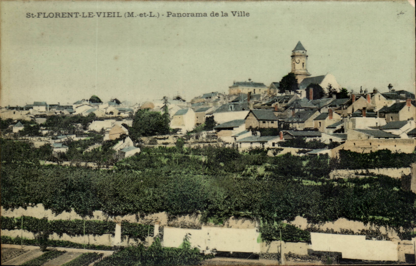 St Florent le Vieil CPA Panorama de la ville
