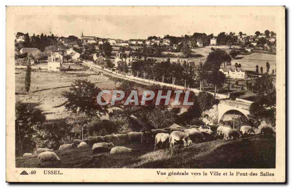 Ussel CPA Vue generale vers la ville et le pont des Salles (moutons)