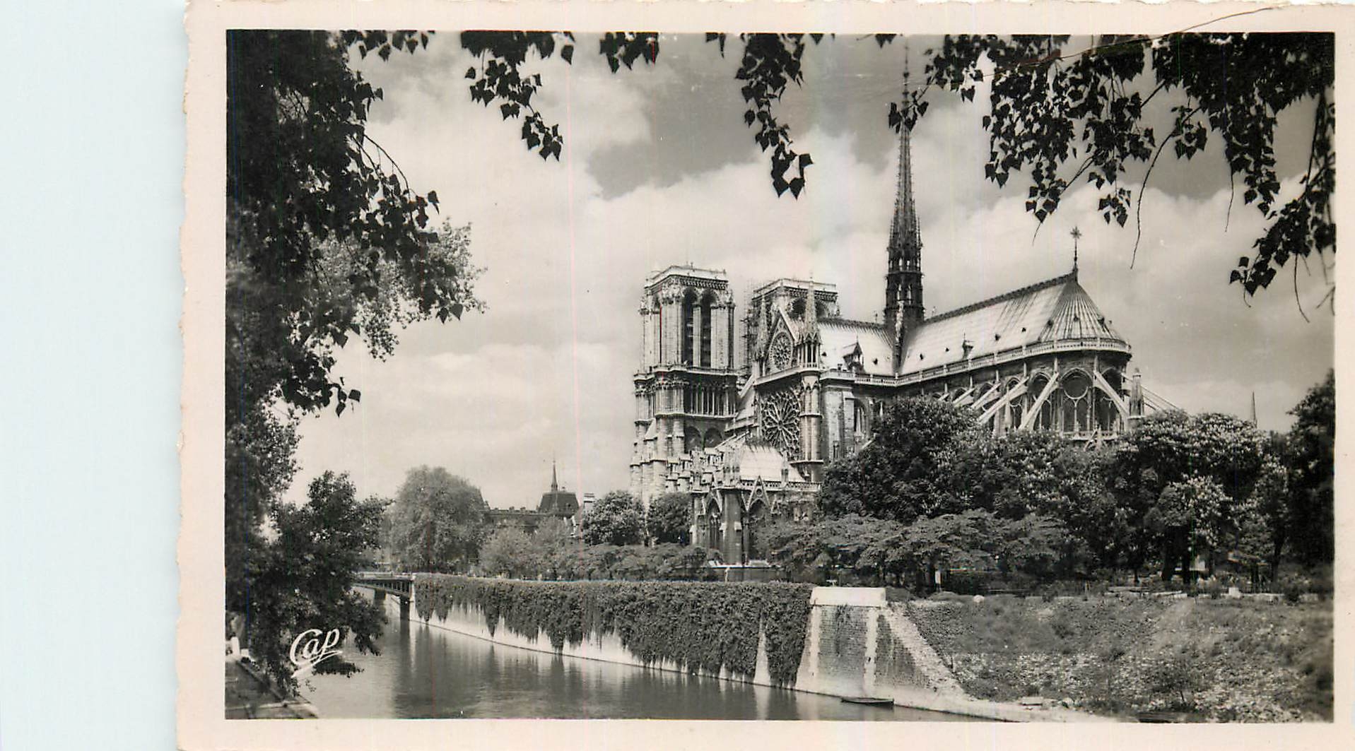 CPA Paris Vue sur Notre Dame 