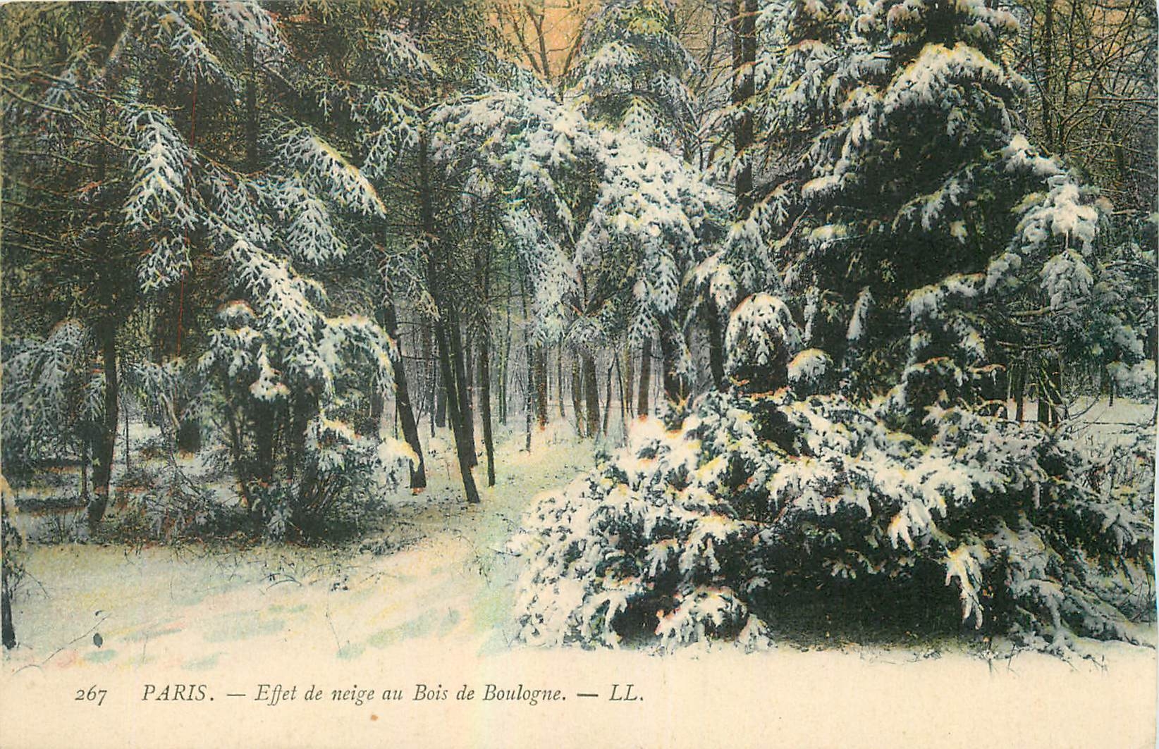 CPA Paris Effet de neige au Bois de Boulogne 