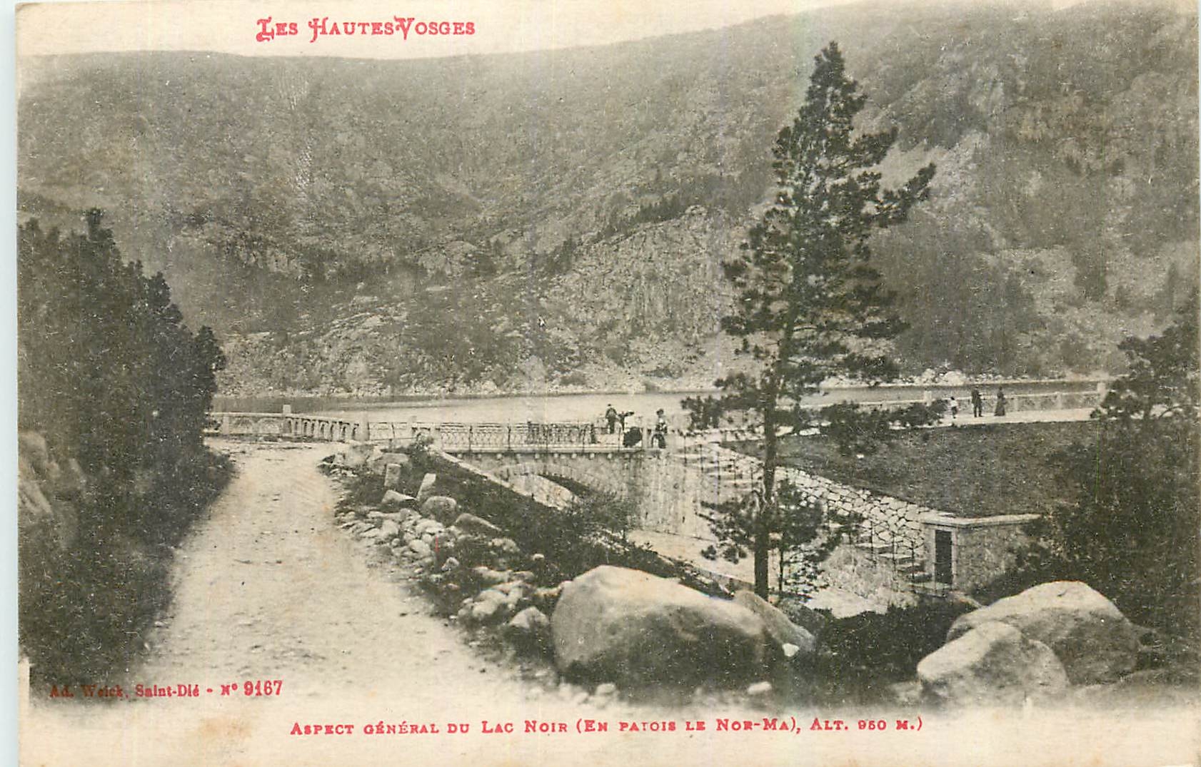CPA Les Hautes Vosges Aspect Lac Noir 