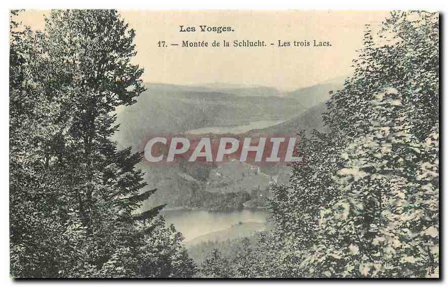 CPA Les Vosges Montee de la Schlucht Les Trois Lacs 