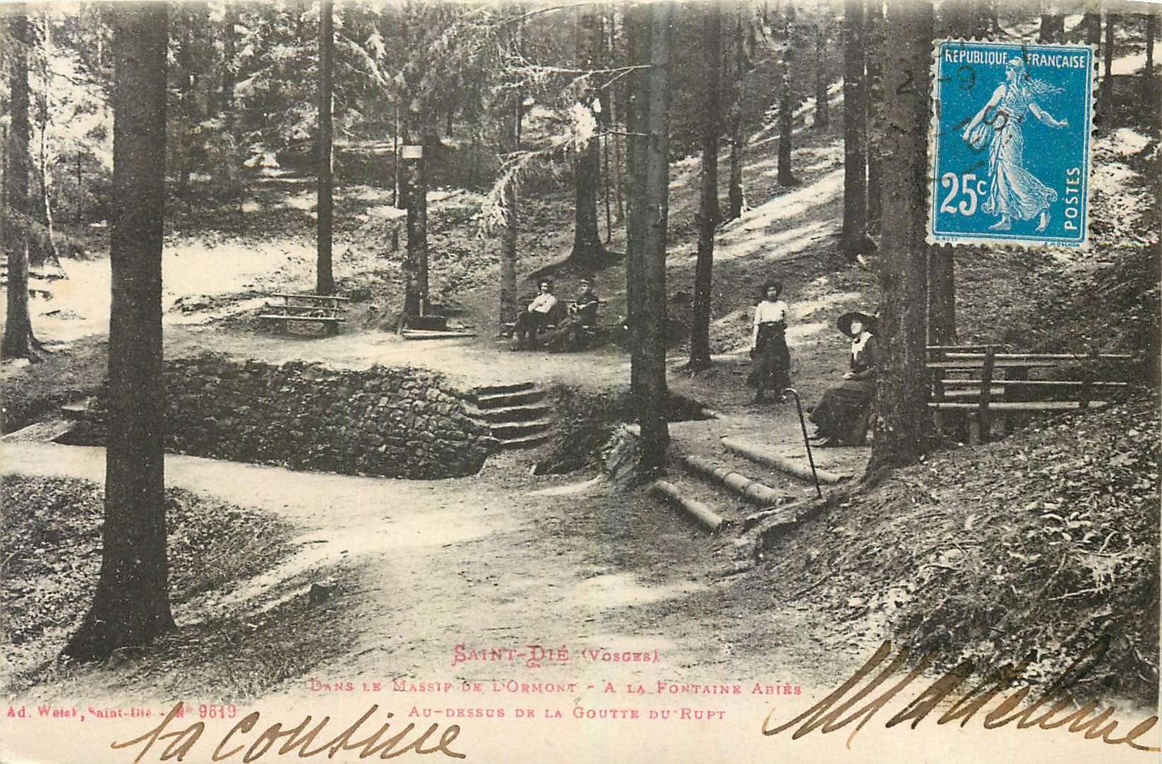 CPA Saint Die Vosges Dans le massif de l'Ormont A la fontaine Abies Au dessus de la goutte du Rupt