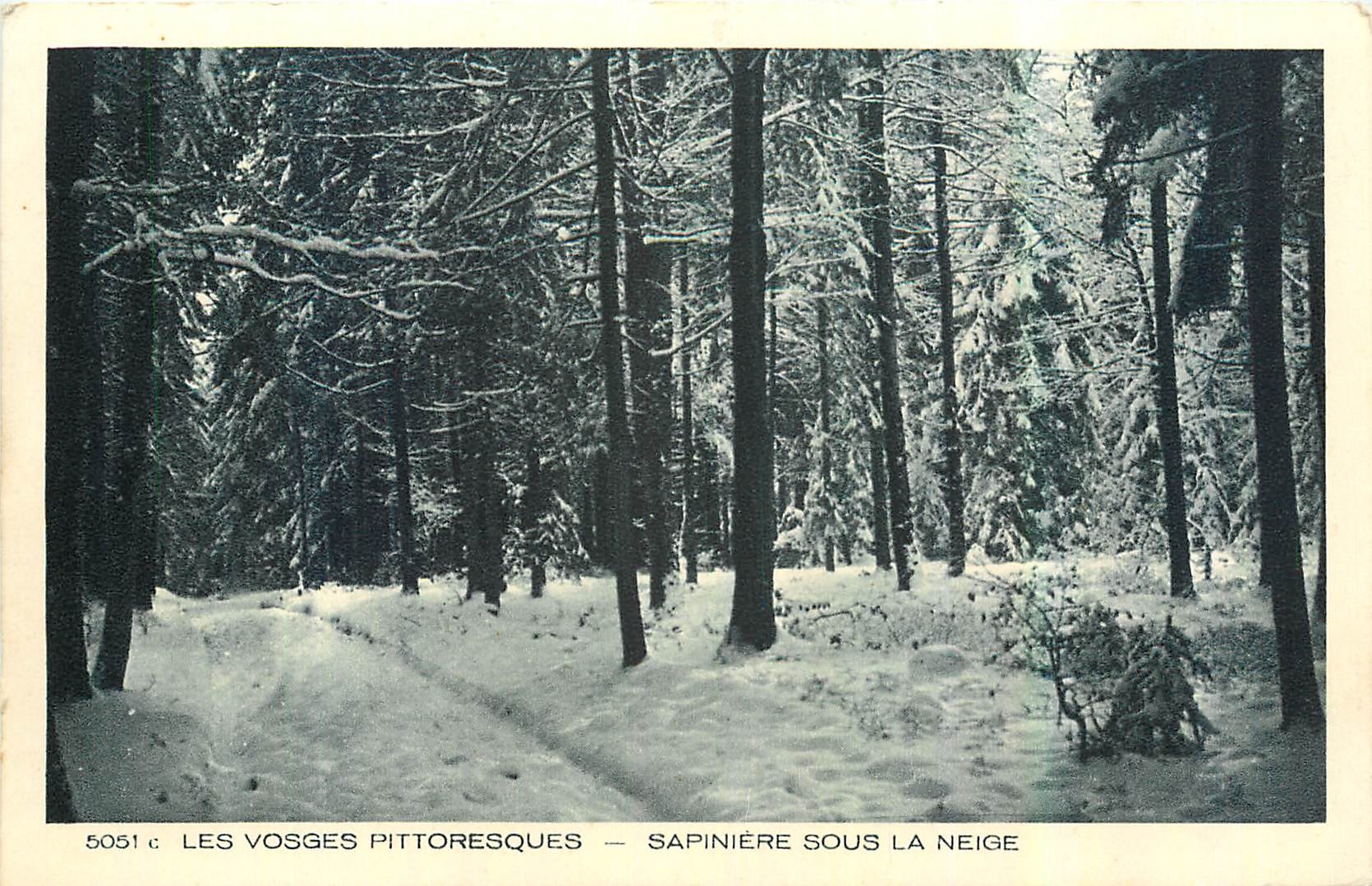 CPA Les Vosges Pittoresques Sapiniere sous la Neige 