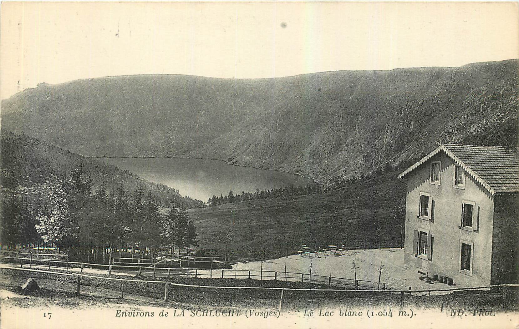 CPA Environs de la Schlucht Vosges Le Lac blanc 