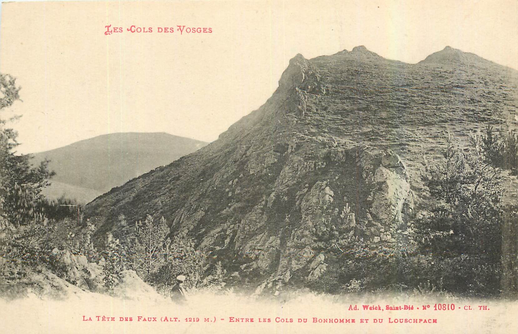 CPA Les Cols des Vosges La Tete dux Faux 