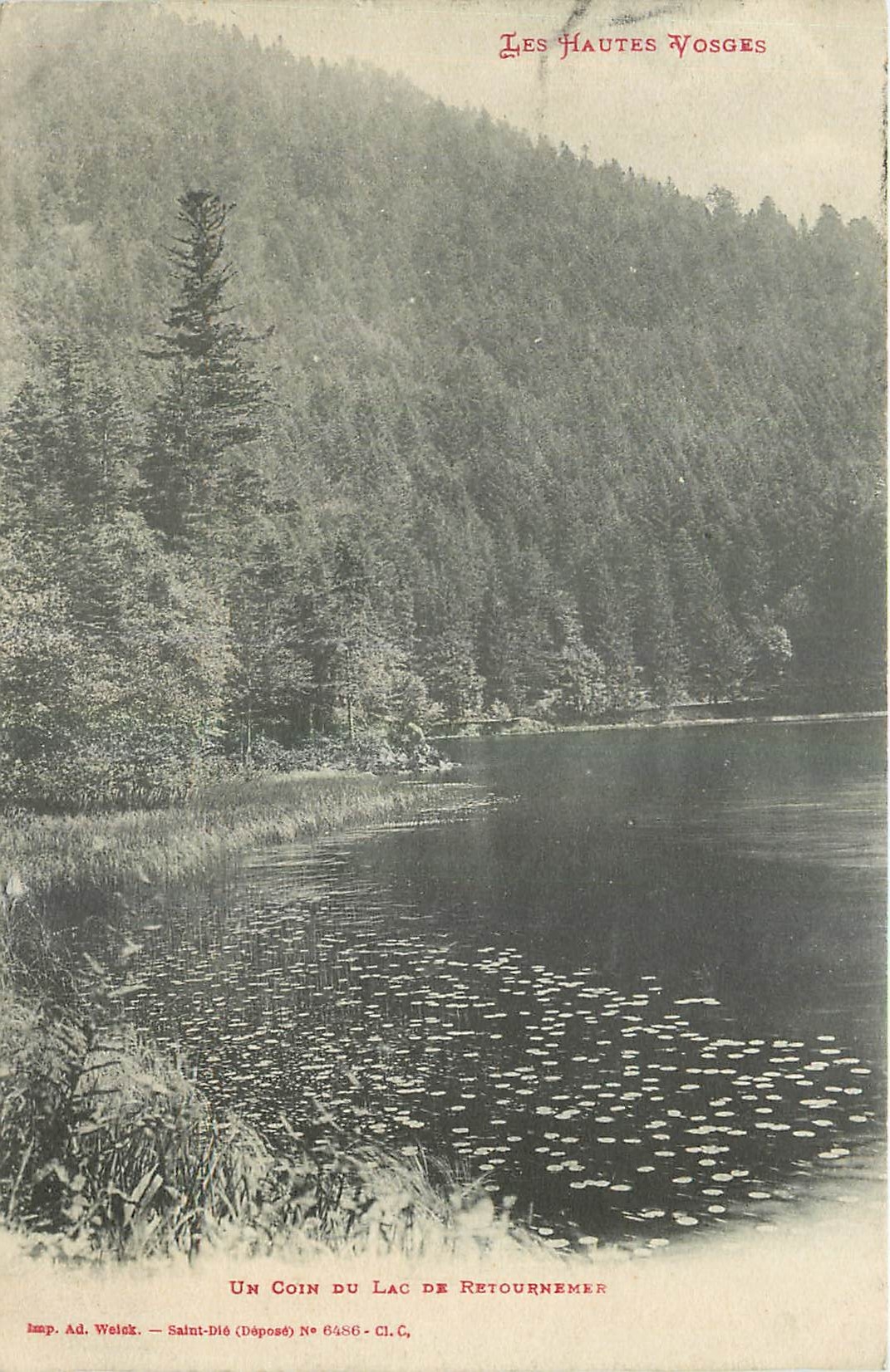 CPA Les Hautes Vosges Un Coin du Lac de Retournamer 