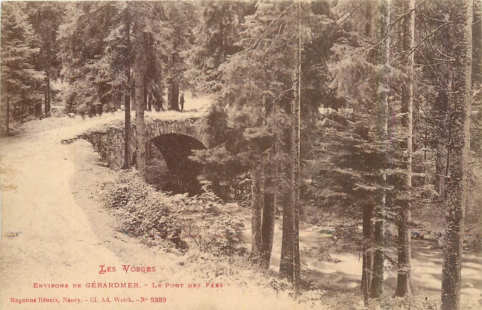 CPA Les Vosges Environs de Gerardmer Le Pont 