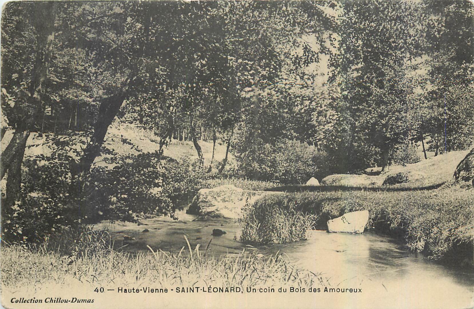 CPA Haute Vienne Saint Leonard Un coin du Bois des Amoureux 
