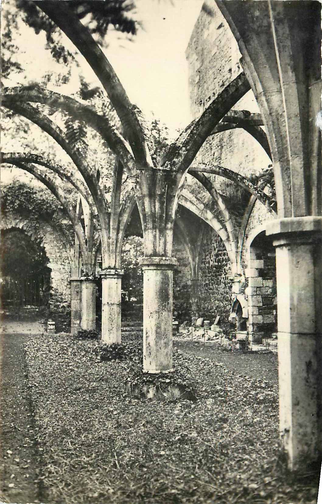 CPA Abbaye de St Michel en l'Herm Vendee Promenoir 