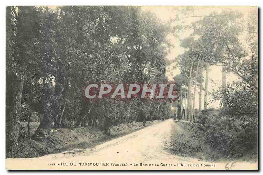 CPA Ile de Noirmoutiers Vendee Le Bois de la Chaise l'Allee des Soupirs 