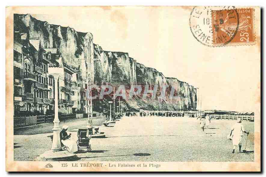 CPA Le Treport Les Falaises et la Plage 
