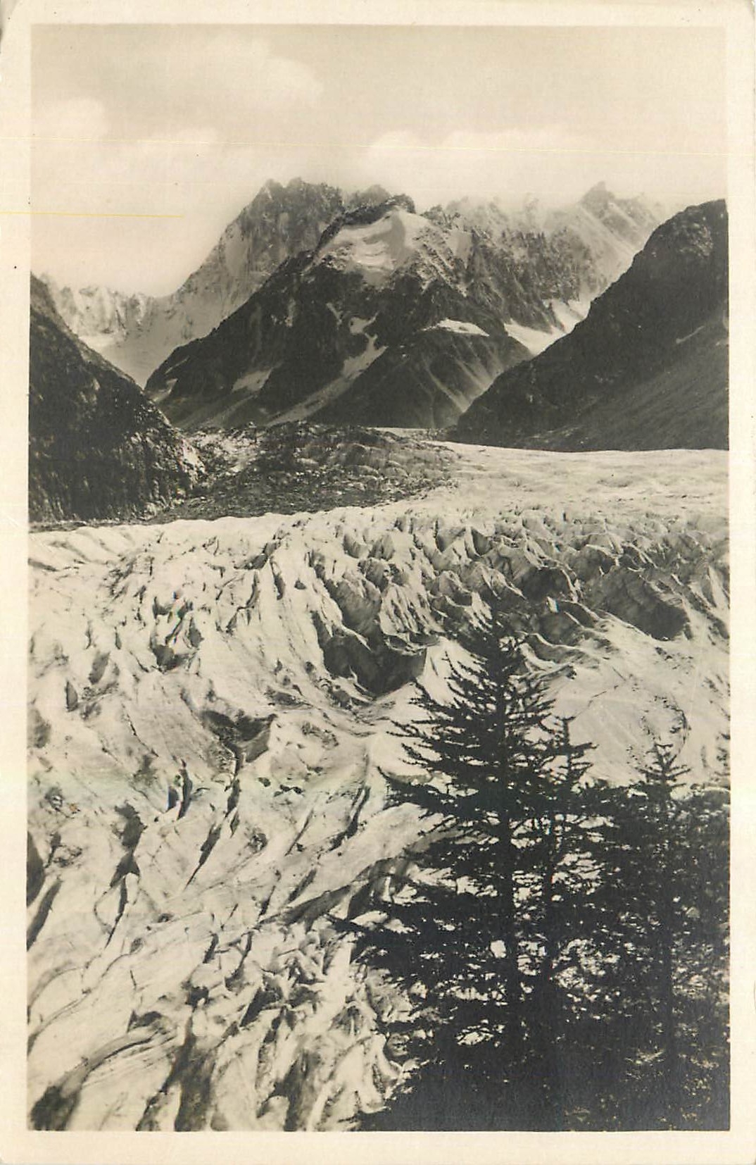 CPA Chamonix La Mer de glace et les Gds Jorasses 